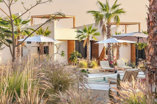 A pool area with lounge chairs and umbrellas, surrounded by palm trees and desert plants.