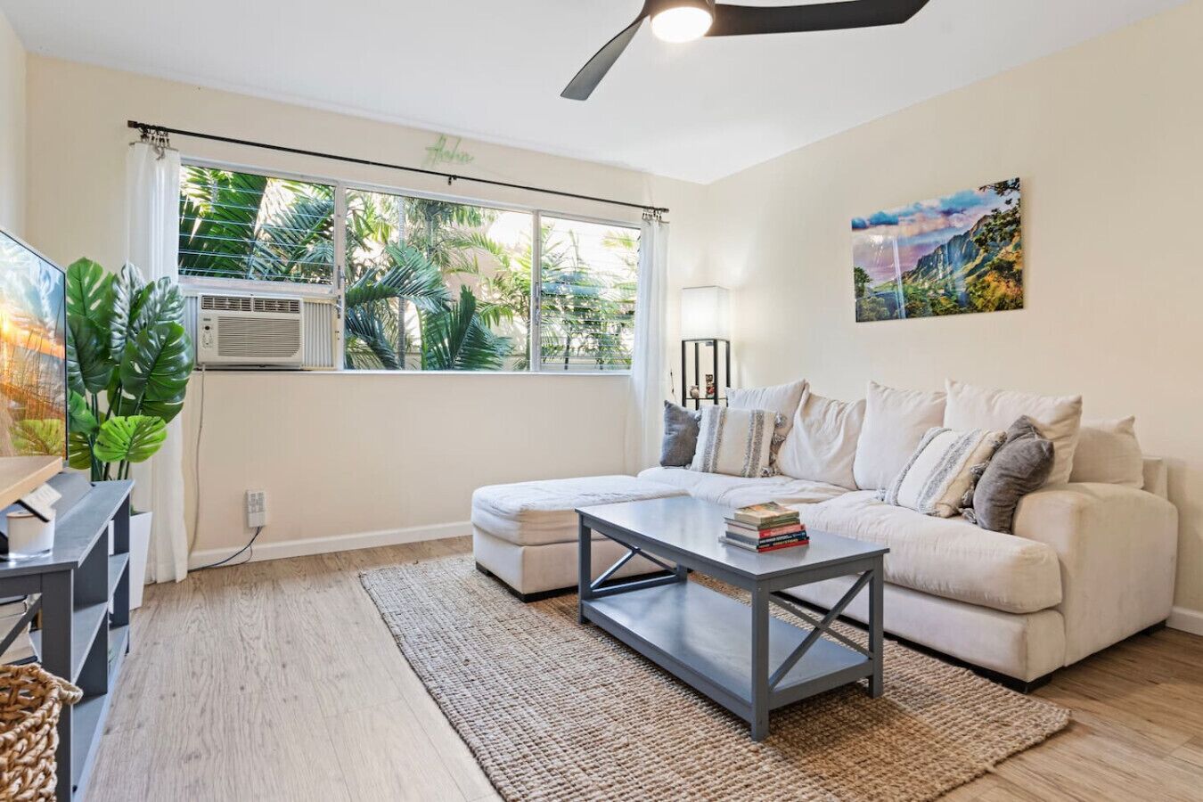 Smart TV, books, stereo, computer monitors