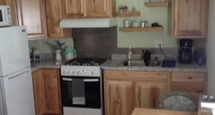 Cozy cabin in charming Rogersville area with WiFi, AC. Rural