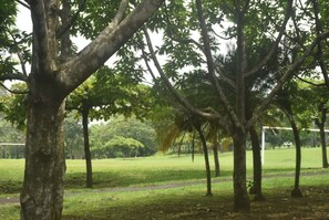 Property grounds
