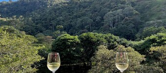 La Cabaña de Tata: Cozy Cabin, Books, Nature, and Contemplation