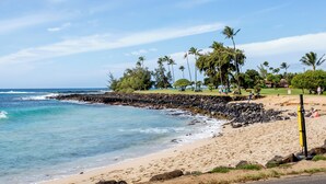 A beach with clear blue water, a rocky breakwater, and palm trees.