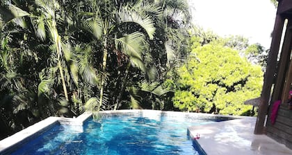 Runaway Pineapple Lodge: Amazing Ocean views, NEW large pool, Jungle setting