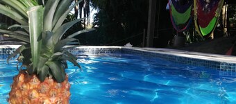 Runaway Pineapple Lodge: Amazing Ocean views, NEW large pool, Jungle setting