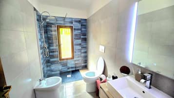 Shower, hair dryer, bidet, towels
