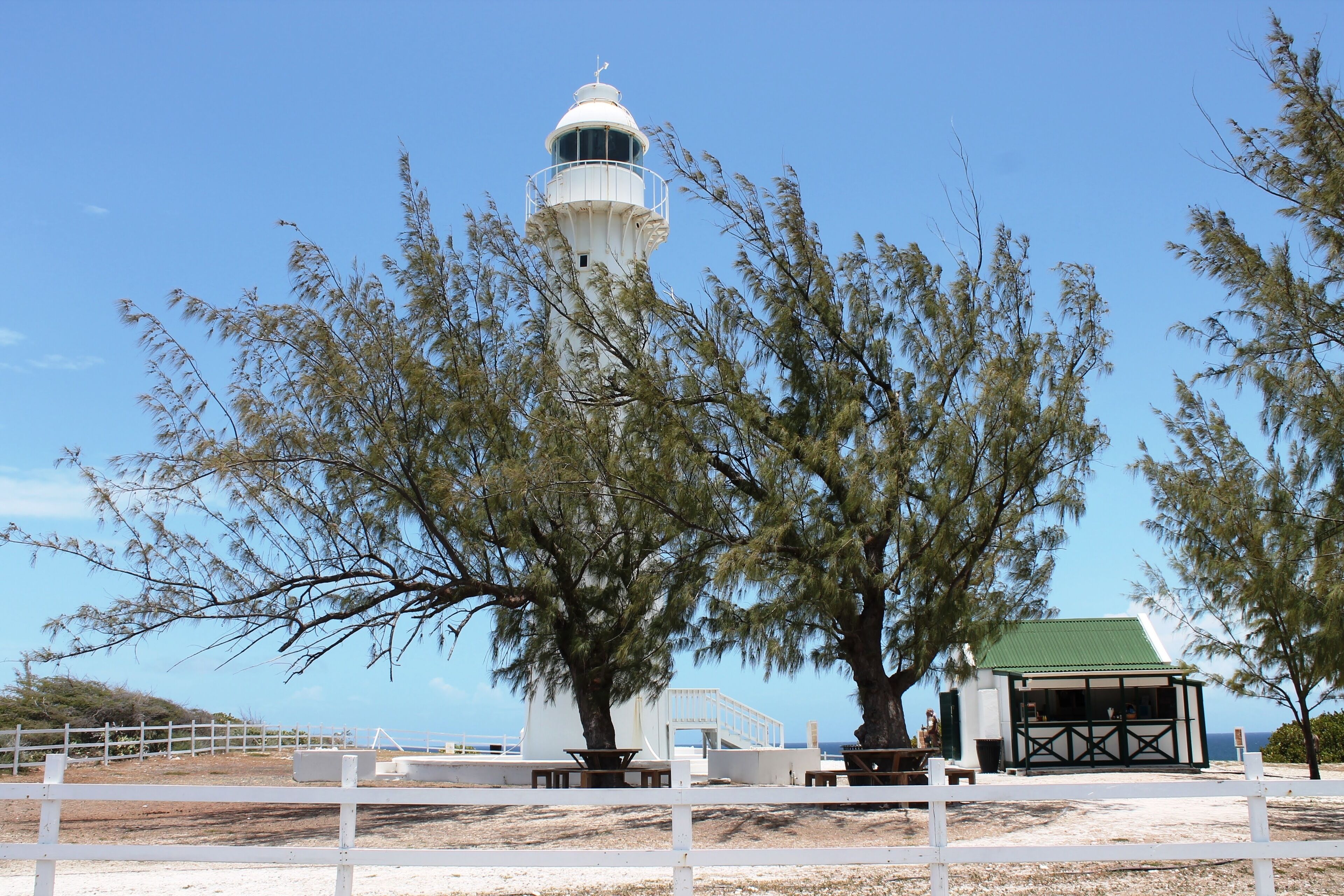 A lighthouse with a white exterior and a green roof, surrounded by trees and a white fence.