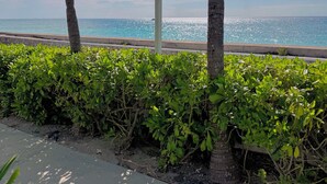 Blick auf den Strand mit Palmen, einem Schild mit der Aufschrift 'Grand Stuck' und blauem Himmel.