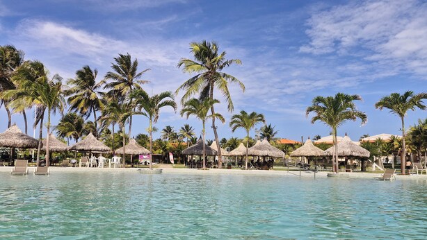 Een zwembadgedeelte van een resort met helder water, palmbomen en rieten parasols.