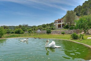 Parco della struttura