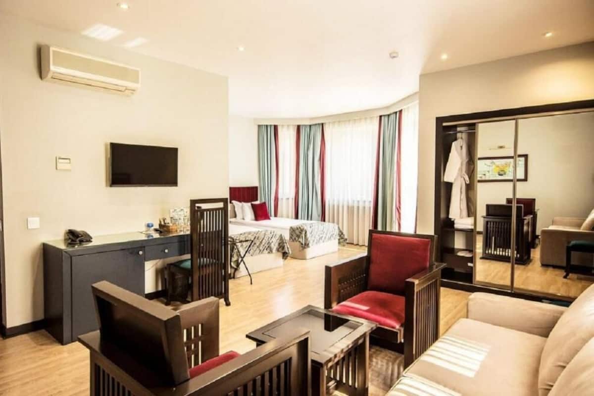 Habitación de hotel con cama, escritorio, silla, sofá y televisión.