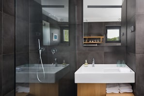 Shower, hair dryer, towels