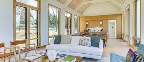 TV, fireplace, books