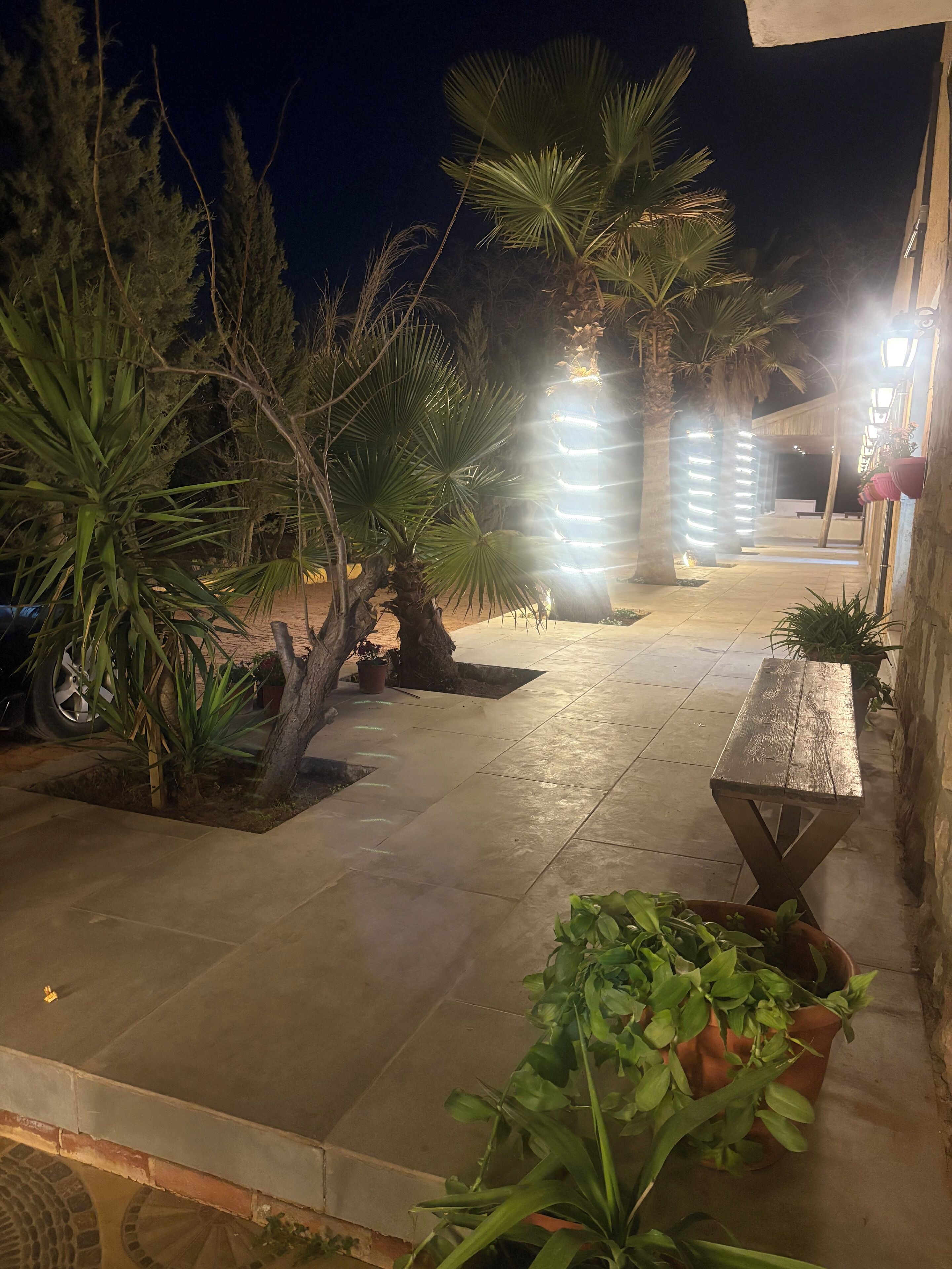 Un espace extérieur aménagé en terrasse, avec un banc en bois, des plantes en pot et des palmiers.