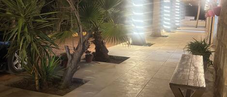 Un patio al aire libre con un banco de madera, plantas en macetas y palmeras.