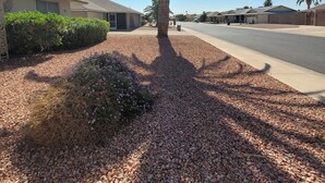 A residential area with a palm tree, a gravel path, and houses with similar architecture. - CASA Allegro - Active Vacationers Paradise (Sun City West)