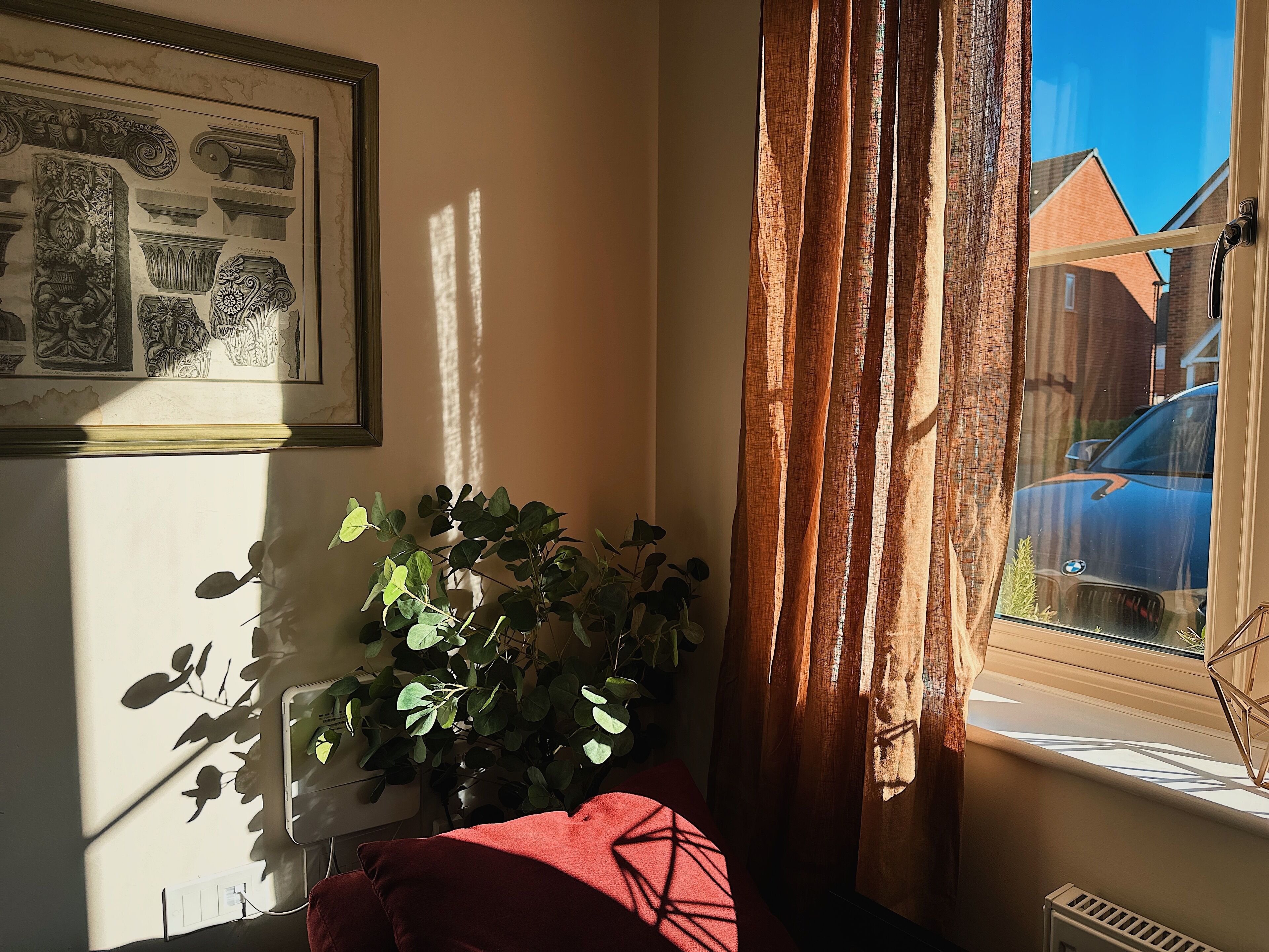 A room with a window, a radiator, a plant, and a framed picture on the wall.