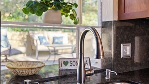 A kitchen with a stainless steel faucet, a potted plant on the window sill, and a sign with the word "SONA".