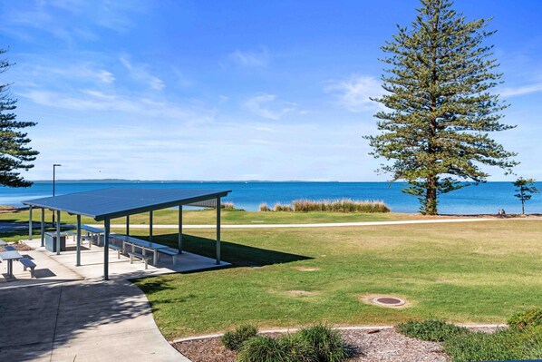 A covered outdoor seating area with benches, a grassy lawn, a tall tree, and a view of the sea. - "Scarborough Studio" - Scarborough Q 4020 (Scarborough)