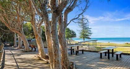 "Scarborough Studio" - Scarborough Q 4020