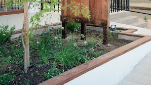 A wooden sign for Hotel Madero with a tree logo, surrounded by greenery and a metal fence. - Hotel Madero Talca (Talca)