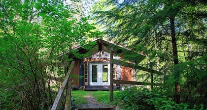 Cozy Forest Cabin in the Beautiful Sayward Valley
