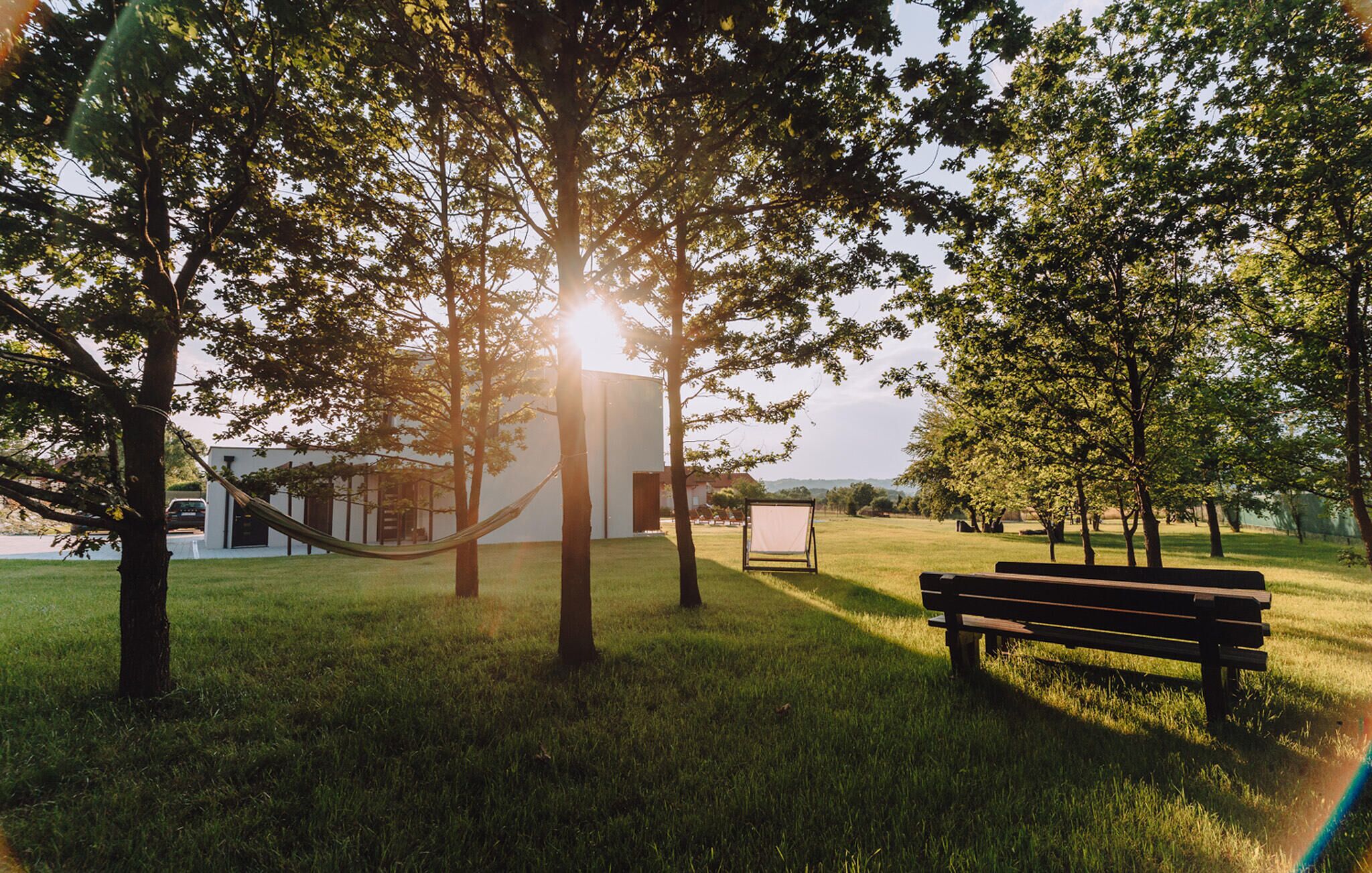 A grassy park area with a bench and a hammock.