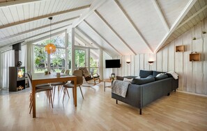 Smart-TV, Kamin