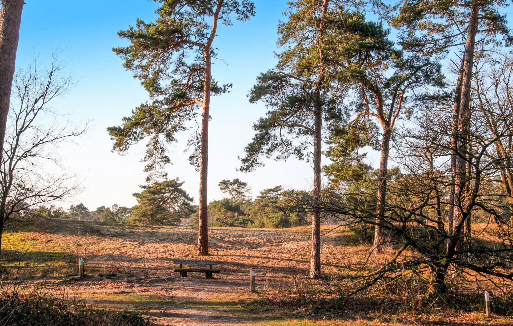 area