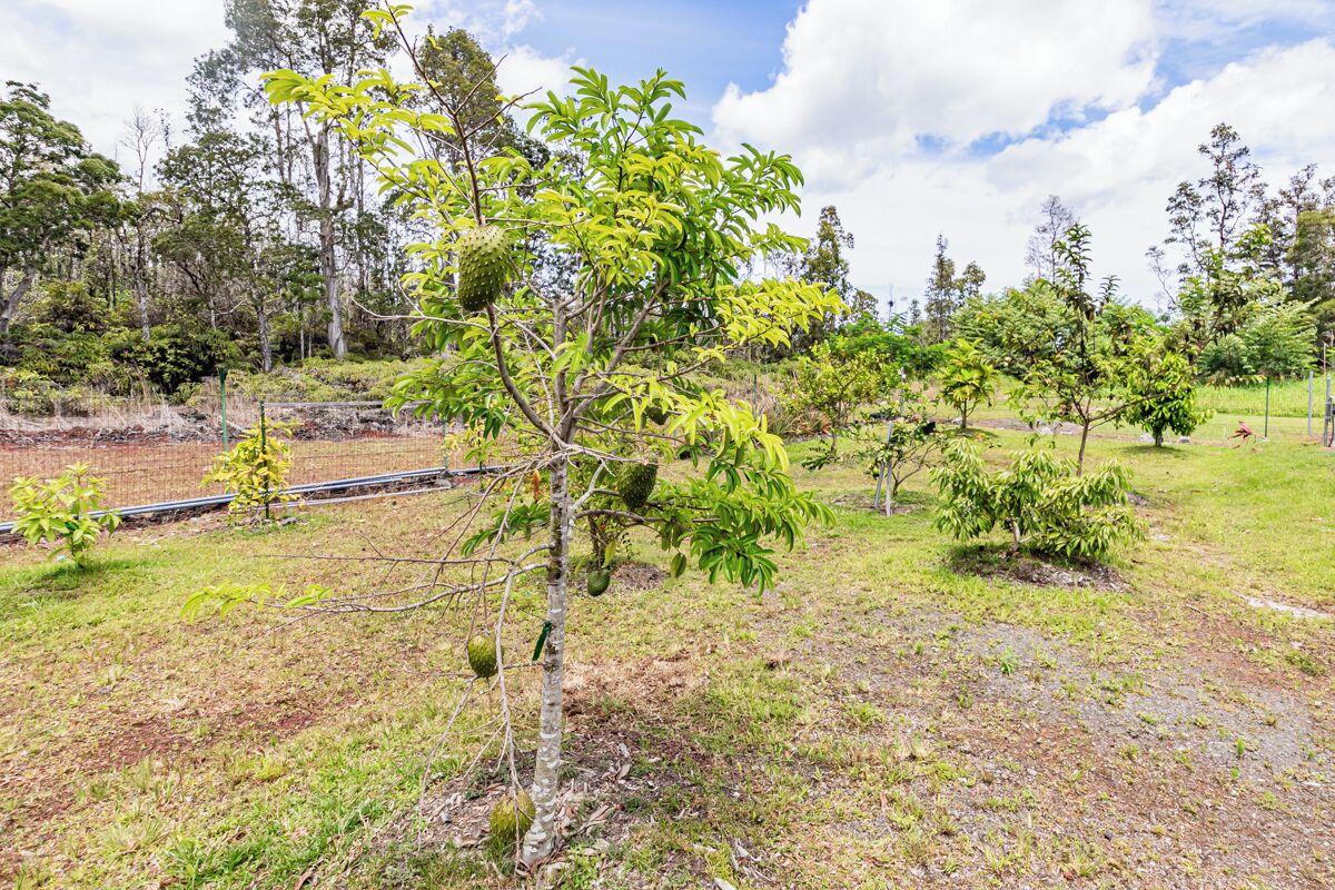 Orchid Isle Pool Paradise- Private Hawaiian Estate w/Pool and Air Conditioning! - Photo 21
