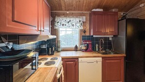 A compact kitchen with wooden cabinets, a stove, a dishwasher, and a sink. - 2 bedroom pet friendly home in Rendalen (Rendalen)