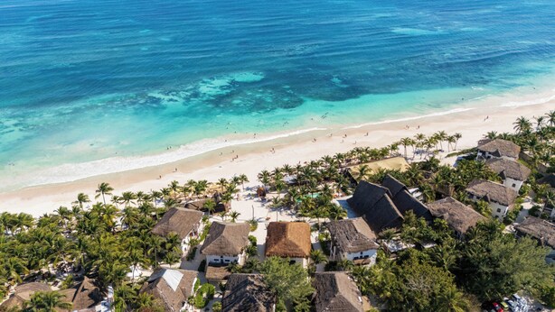 An aerial view of a beach resort with thatched-roof cottages, palm trees, and a sandy beach. - Mia Tulum Beachfront Resort - Ocean View Suites and Beach Club (Tulum)