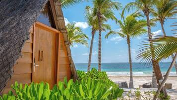 A wooden door, palm trees, and a beach view.