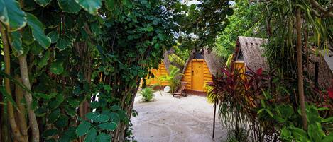 A pathway leading to a yellow building surrounded by dense foliage.