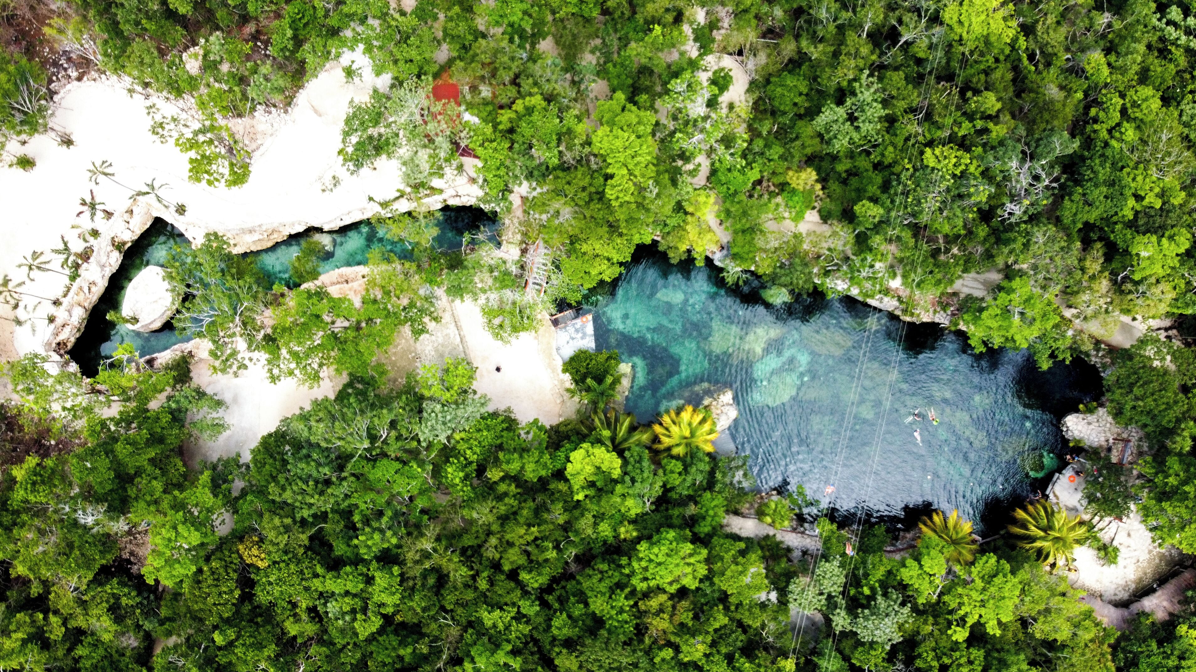 Vista aerea di un resort tropicale con una piscina cristallina immersa in una vegetazione lussureggiante e una spiaggia sabbiosa.