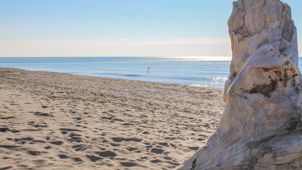 Una playa arenosa con una gran formación rocosa.