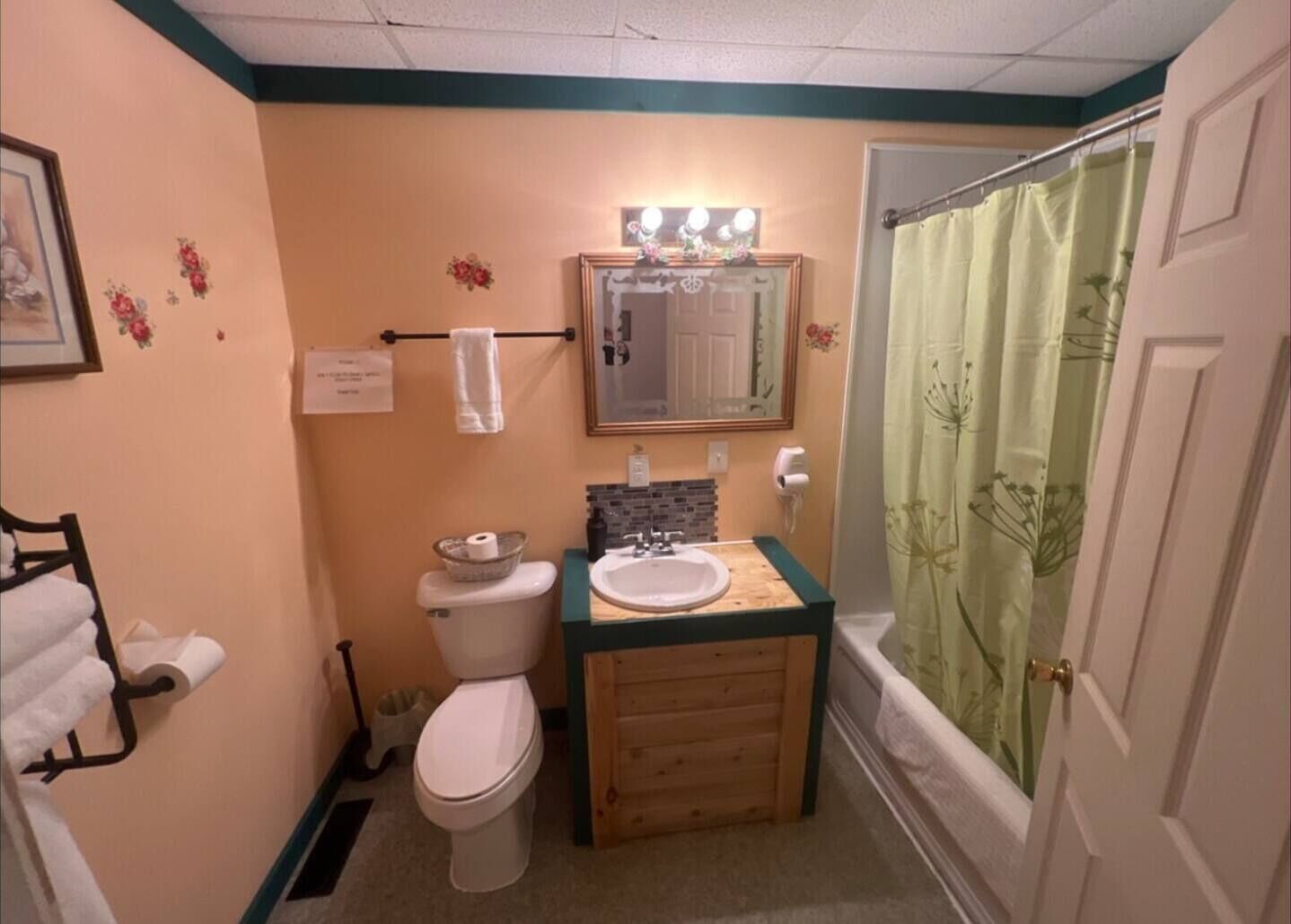 Une salle de bain équipée de toilettes, d’un lavabo et d’un rideau de douche.