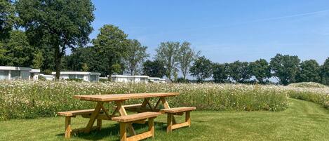 A picnic table in a grassy area with white flowers and trees in the background.