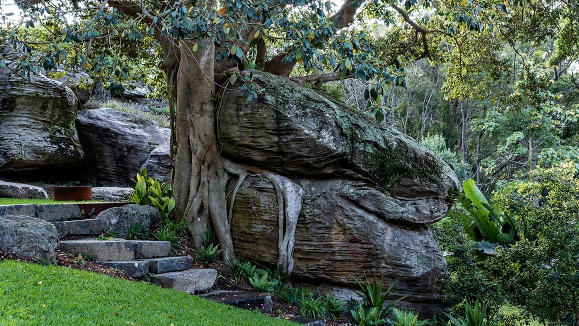 Crane Lodge blends the beauty of nature with unmatched luxury. — image 29