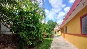 Un estrecho sendero de concreto que lleva a un edificio amarillo con detalles en rojo.