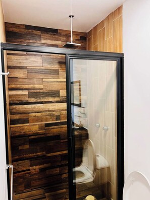 Ducha, secador de pelo, toallas, jabón