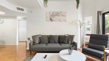 Smart TV y chimenea