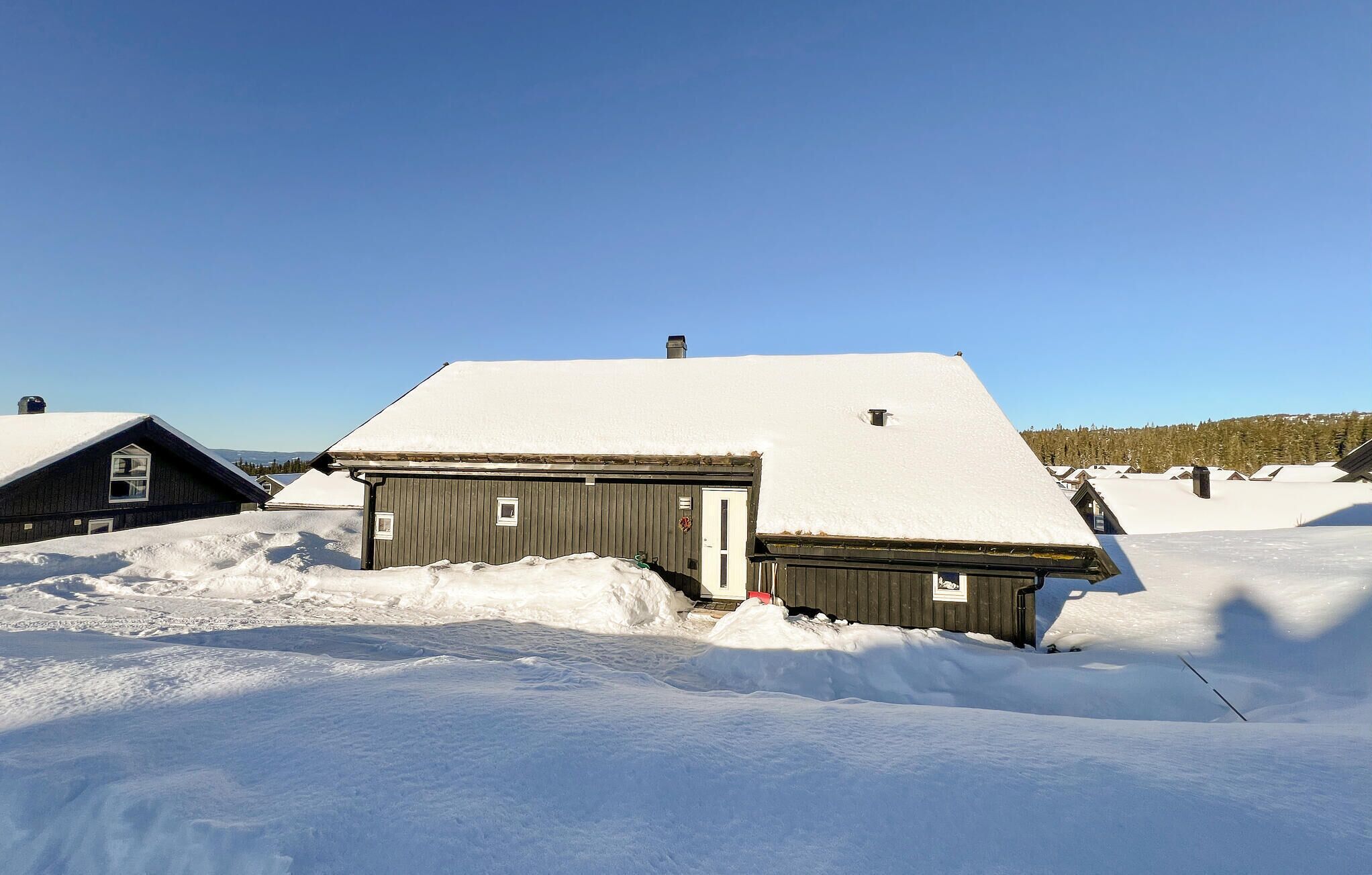Eksteriør