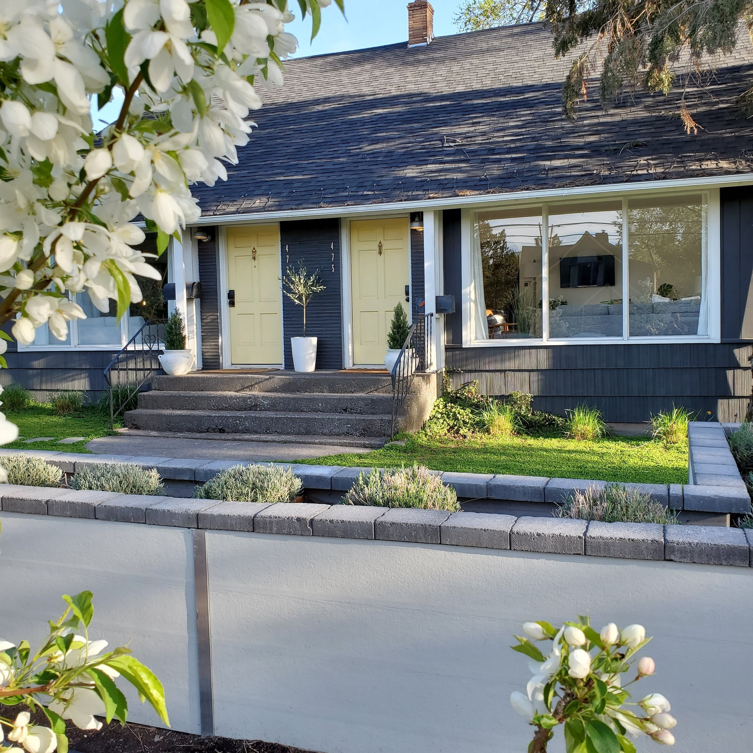 Front Yard