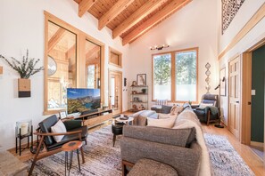 TV, fireplace, books