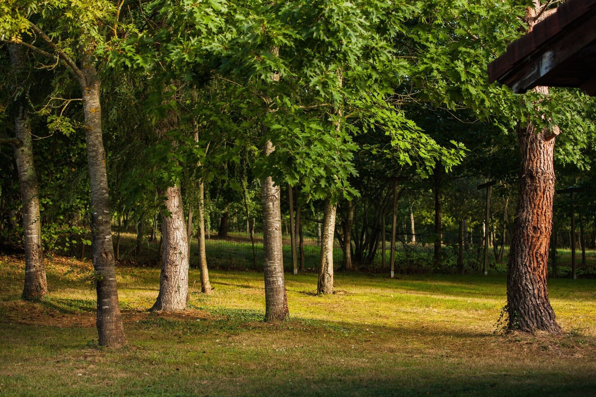 Terrein van de accommodatie