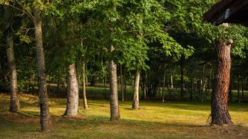 Terrein van de accommodatie