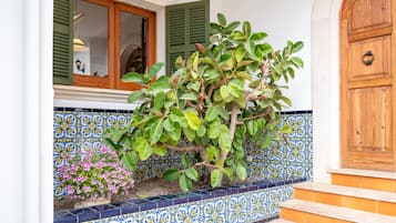 DĂ©tail de lâextĂ©rieur