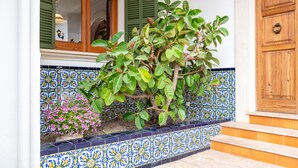 A building entrance with a tiled wall, a wooden door, and a potted plant with green leaves. - Villa 'Anecs' with Private Garden, Wi-Fi and Air Conditioning (Muro)