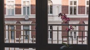 A window with a potted orchid and a view of a brick building with white windows and balconies. - Dream 18 Przytulne Studio Centrum Bydgoszczy (Bydgoszcz)