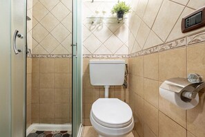 Ducha, secador de pelo, bidé y toallas